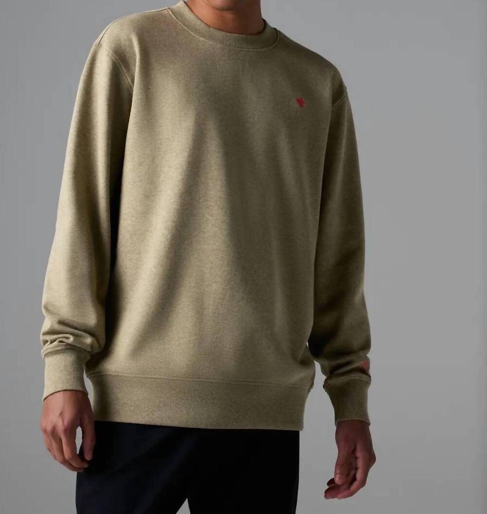 NEW RABBIT go-to long sleeve crew top in pale brown